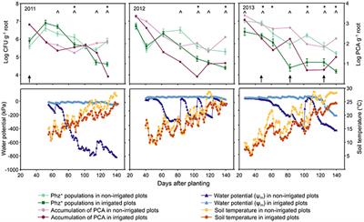 Long-Term Irrigation Affects the Dynamics and Activity of the Wheat Rhizosphere Microbiome